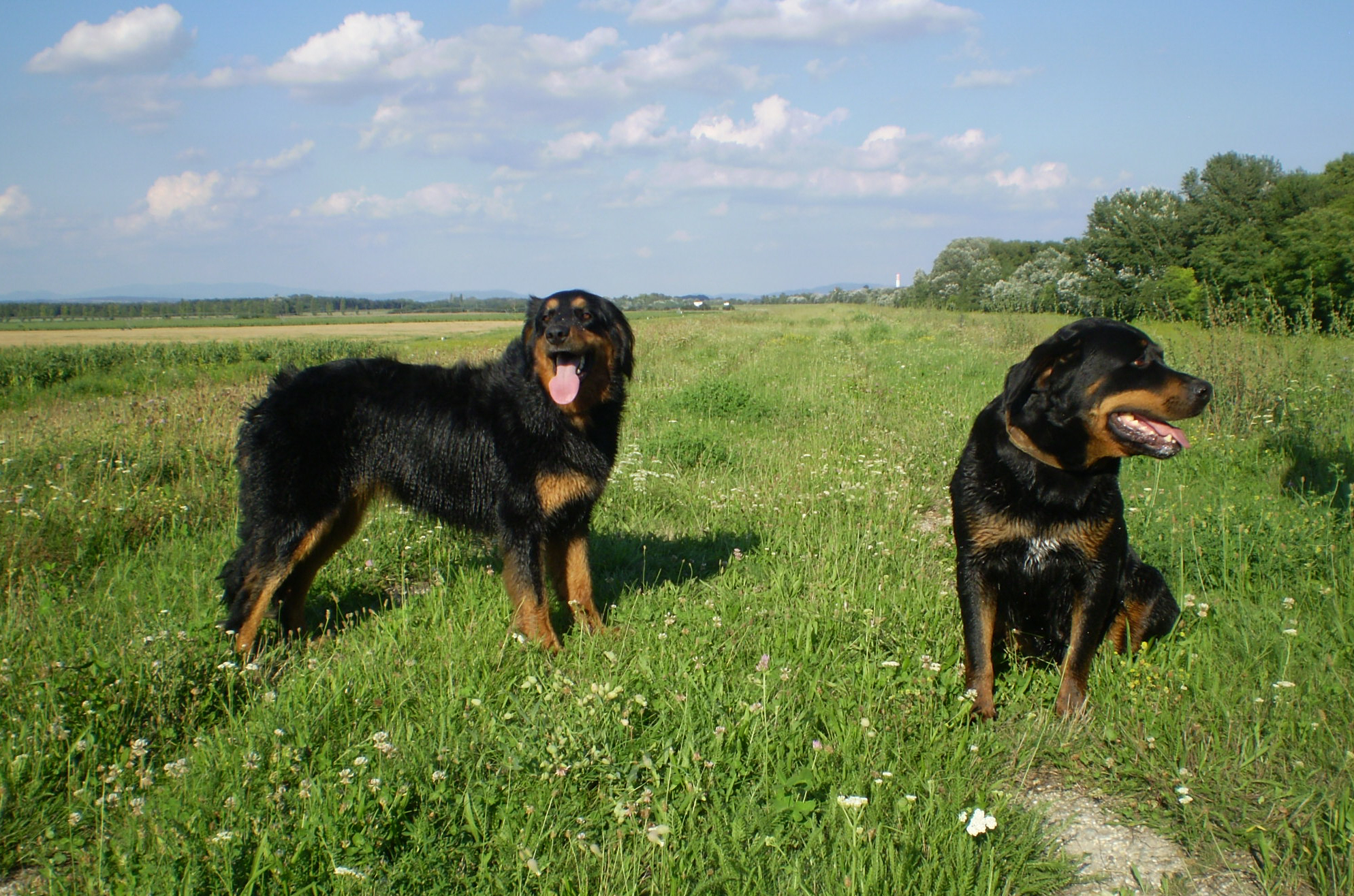 Kép 070.jpg