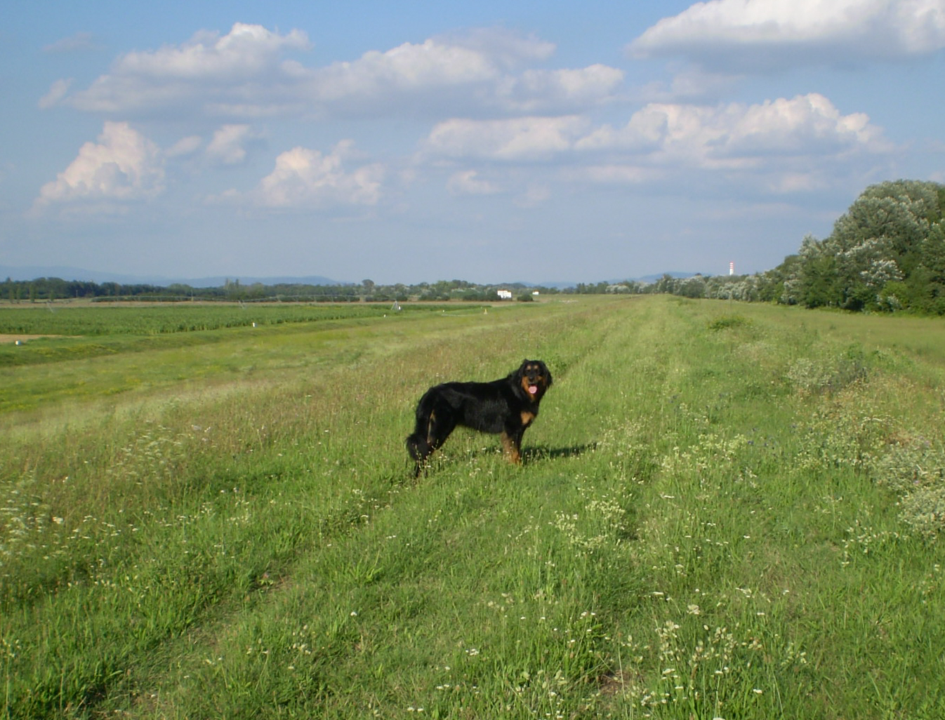 Kép 079.jpg