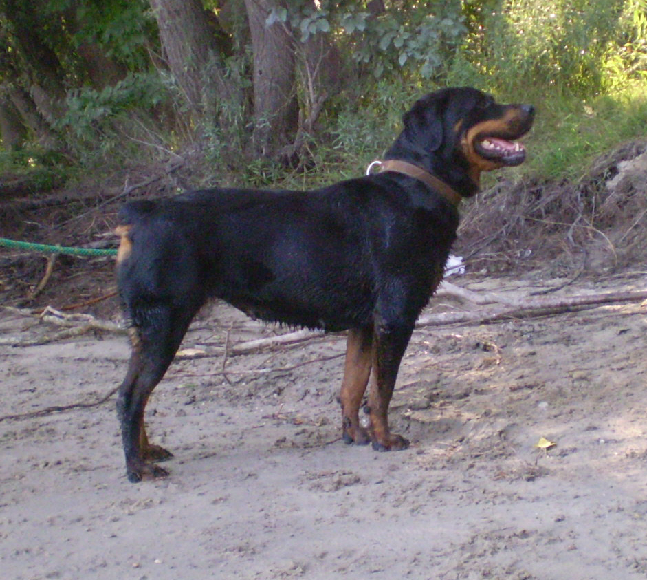 Kép 053.jpg