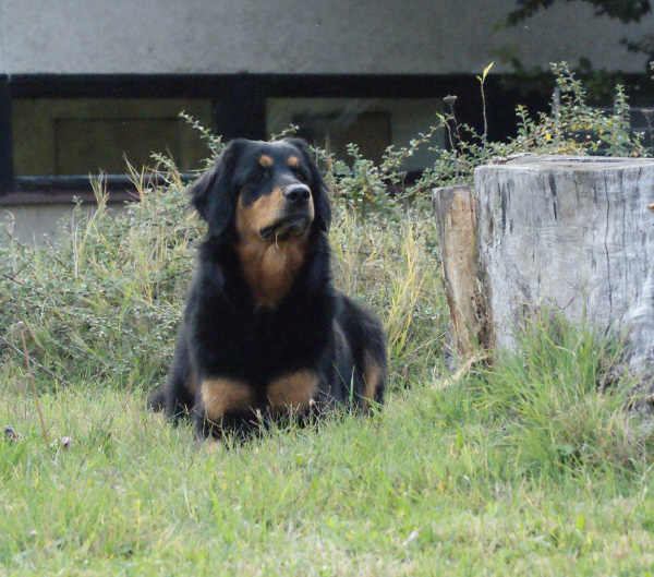 DSC01001.jpg