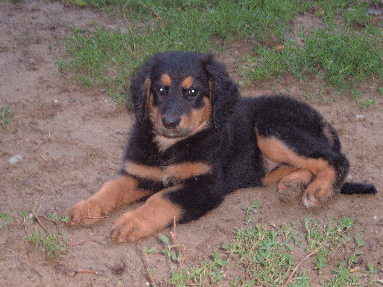 2006_0824Image0005.JPG