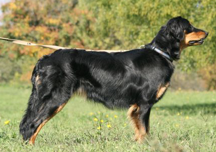 2007[1].szeptember 102.jpg